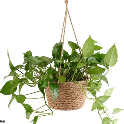 Garden Hanging Planter Macrame Plant Storage Basket Jute Rope Woven Indoor Outdoor Flower Pot Holderrs Plant Hangers Home Decor